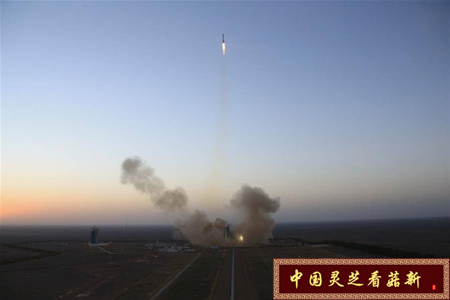 菇新破壁靈芝孢子粉資訊：神州十一號正式升空