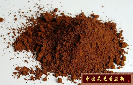 富含靈芝孢子油而結(jié)塊