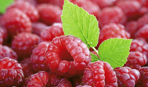 食品安全檢測儀 食品安全檢測儀