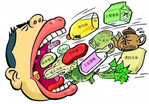 食品安全 食品安全