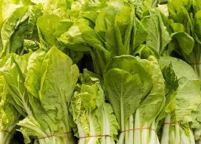 農(nóng)殘快速檢測(cè)儀 農(nóng)殘快速檢測(cè)儀