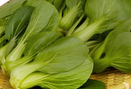 農(nóng)藥殘留測(cè)定儀 農(nóng)藥殘留測(cè)定儀