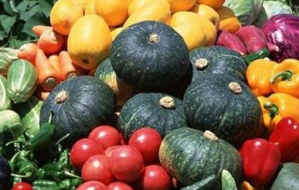 食品安全速測(cè)儀 食品安全速測(cè)儀