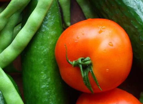 食品安全速測儀 食品安全速測儀